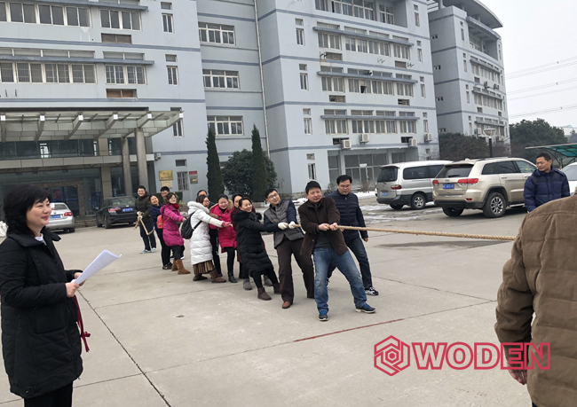 沃頓機械參加園區2018年“迎新春”趣味活動